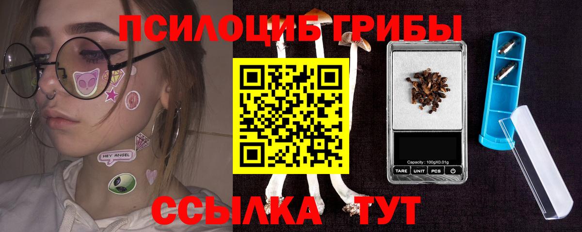 Галлюциногенные грибы Psilocybe Ишим