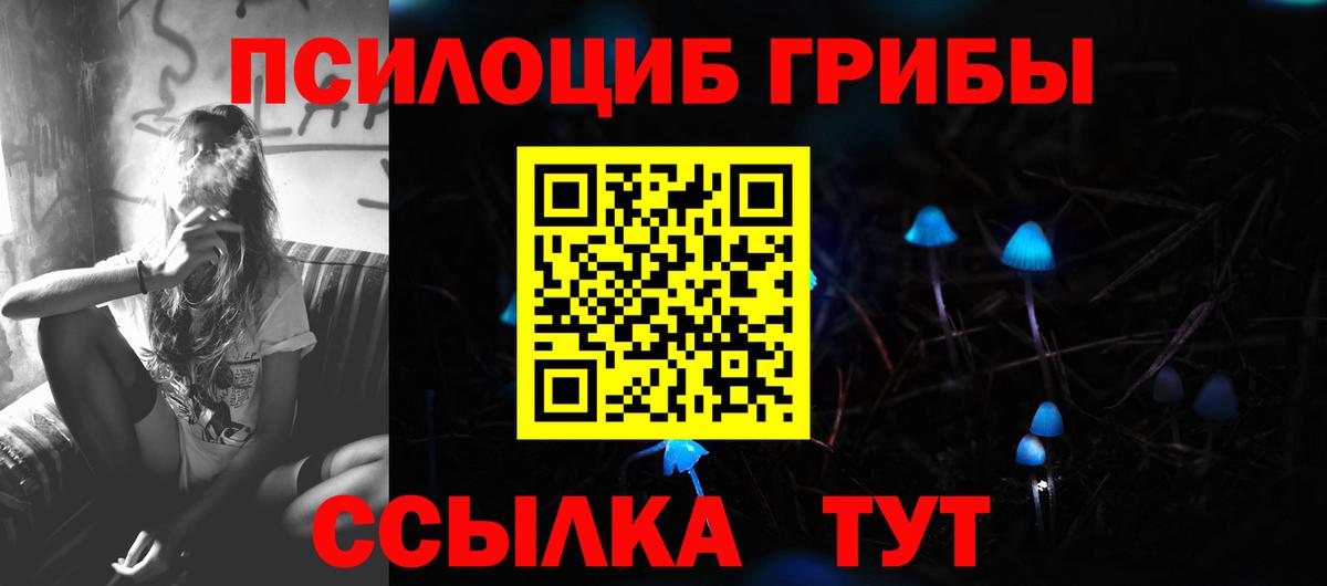 Ишим  Псилоцибиновые грибы MAGIC MUSHROOMS  Вход с VPN 